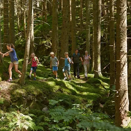 Lejlighed Haus Tanneck - Fewo 1 - Feldberg Im Schwarzwald