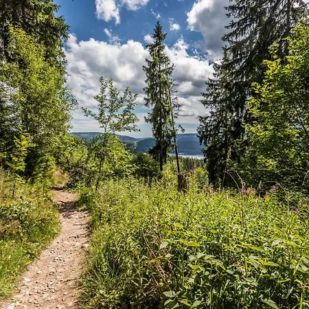 Haus Tanneck - Fewo 1 - Feldberg Im Schwarzwald Lejlighed *