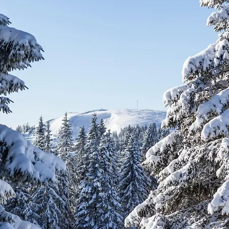 Haus Tanneck - Fewo 1 - Feldberg Im Schwarzwald Lejlighed *