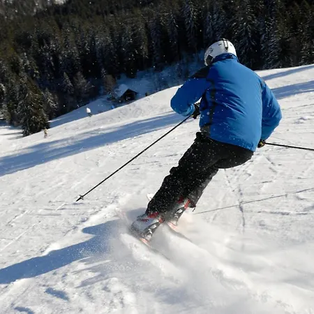 Haus Tanneck - Fewo 1 - Feldberg Im Schwarzwald * Feldberg (Baden-Wurttemberg)