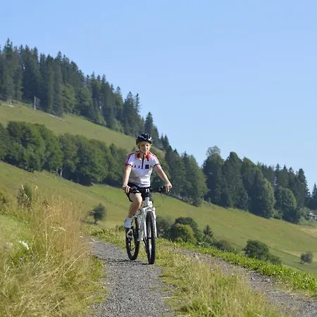 Haus Tanneck - Fewo 1 - Feldberg Im Schwarzwald Lejlighed Feldberg (Baden-Wurttemberg)