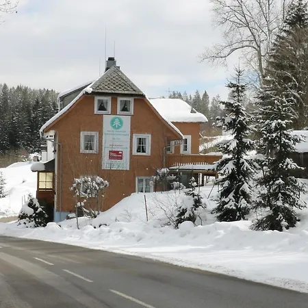 Haus Tanneck - Fewo 1 - Feldberg Im Schwarzwald * Feldberg (Baden-Wurttemberg)