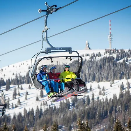 Lejlighed Haus Tanneck - Fewo 1 - Feldberg Im Schwarzwald