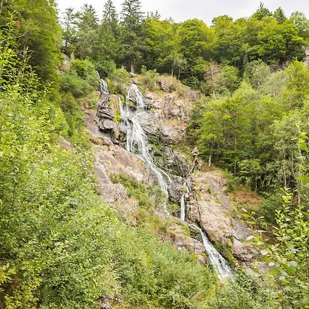 Haus Tanneck - Fewo 1 - Feldberg Im Schwarzwald