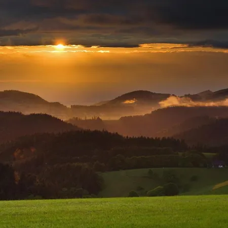 Haus Tanneck - Fewo 1 - Feldberg Im Schwarzwald *